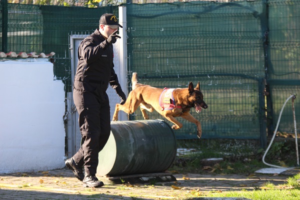 Foto - Bu ikili suçluların kabusu oldu