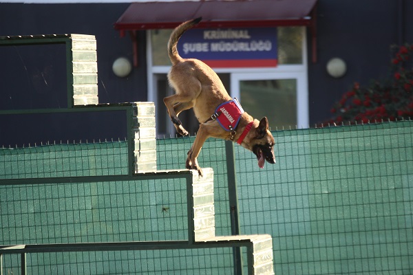 Foto - Bu ikili suçluların kabusu oldu