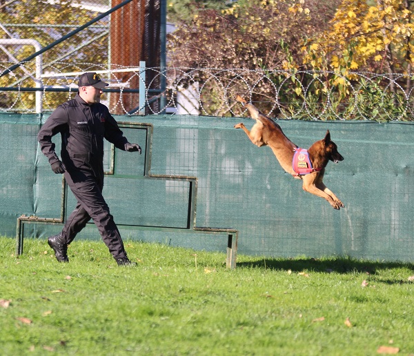 Foto - Bu ikili suçluların kabusu oldu