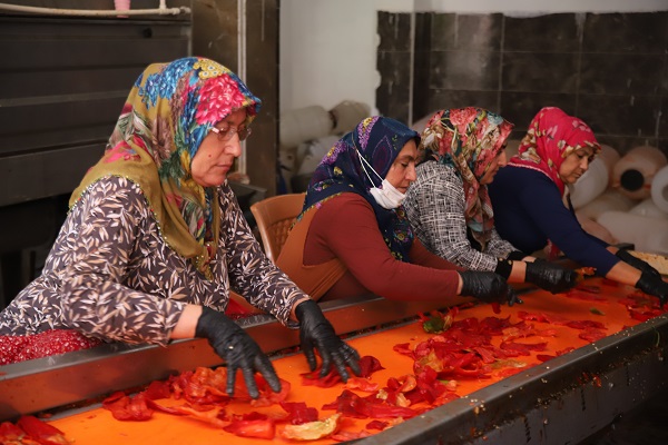 Foto - Bu ilde kadınlar ekmeklerini acıdan çıkarıyor