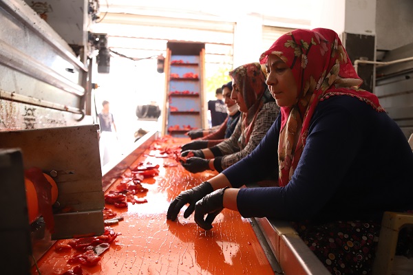 Foto - Bu ilde kadınlar ekmeklerini acıdan çıkarıyor