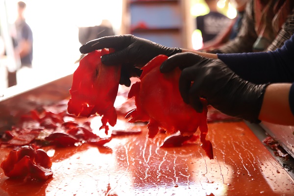 Bu ilde kadınlar ekmeklerini acıdan çıkarıyor