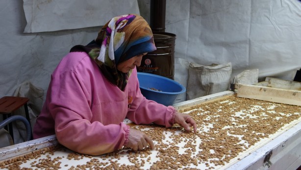 Foto - Bu ilimizin rakibi yok! Türkiye’de üretiliyor tüm Avrupa alıyor
