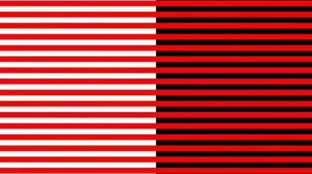 Foto - Bu illüzyonlar kafa karıştırıyor!