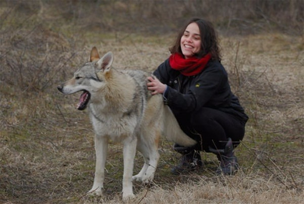 Foto - Çılgın aile kurtlarla yaşıyor!