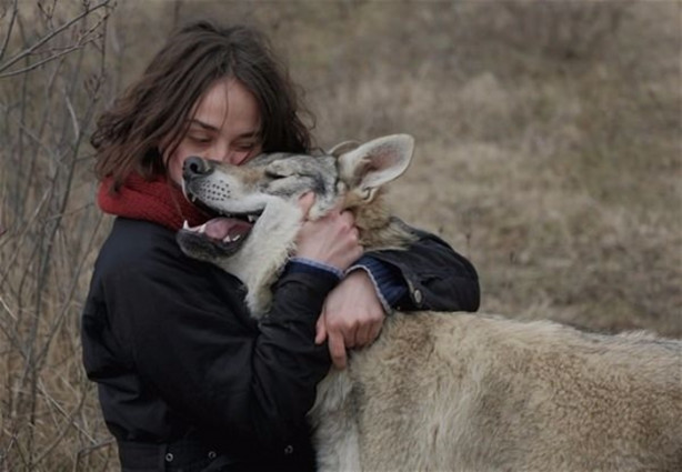 Foto - Çılgın aile kurtlarla yaşıyor!