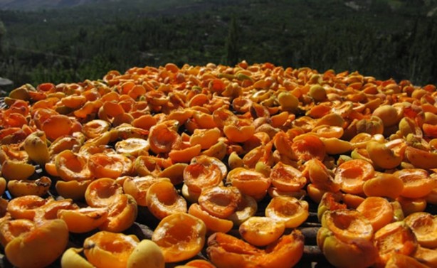 Foto - Bu insanlar 120 yıl yaşıyor! Sırrı ise...