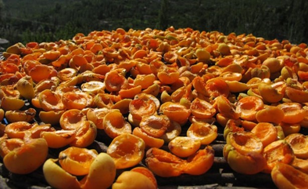 Foto - Bu insanlar 120 yıl yaşıyor! Sırrı ise...