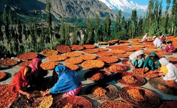 Foto - Bu insanlar 120 yıl yaşıyor! Sırrı ise...