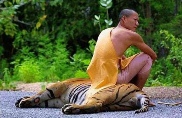 Foto - Bu insanların rahatlığına çok şaşıracaksınız!