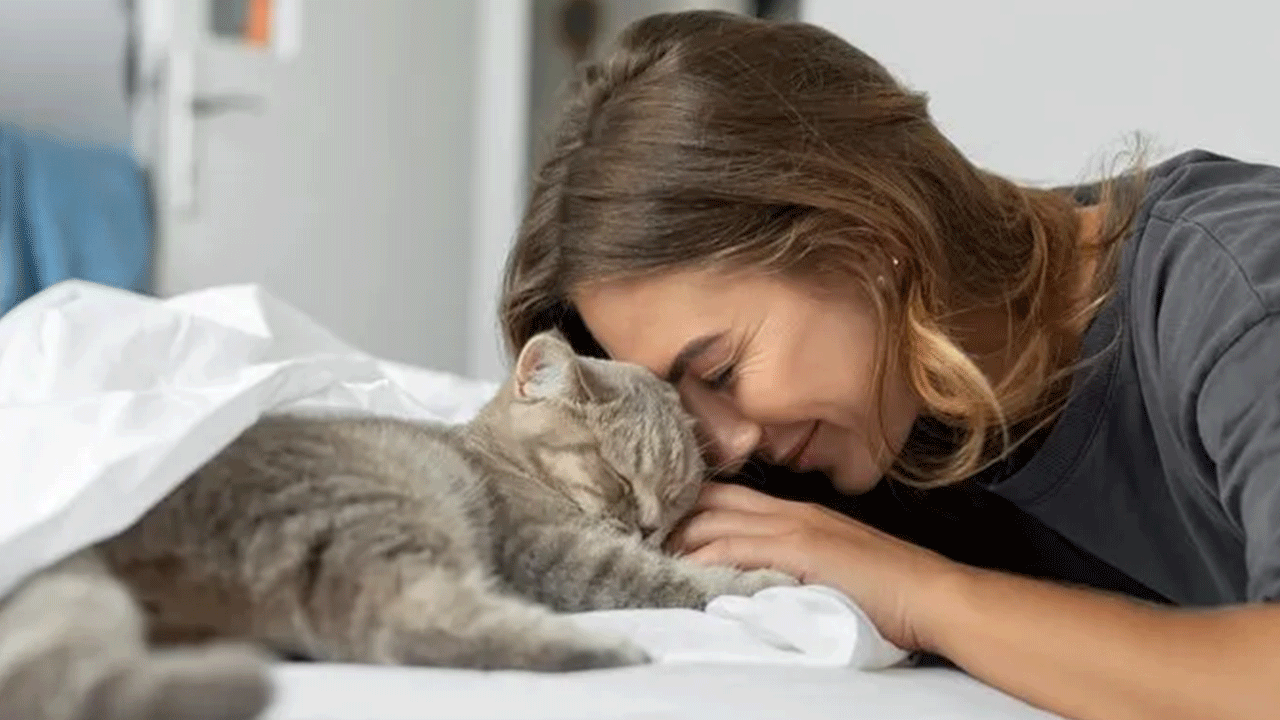 Foto - Uzmanı tüyo verdi: Kediniz bunu yapıyorsa sizi seviyor demektir!