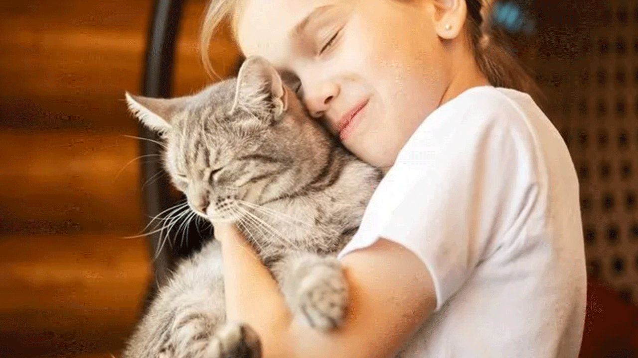 Foto - Uzmanı tüyo verdi: Kediniz bunu yapıyorsa sizi seviyor demektir!