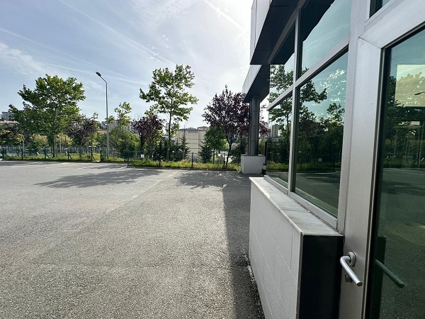 Foto - Bu işin sonu nereye varacak? Şimdi de okulda başıboş köpek dehşeti