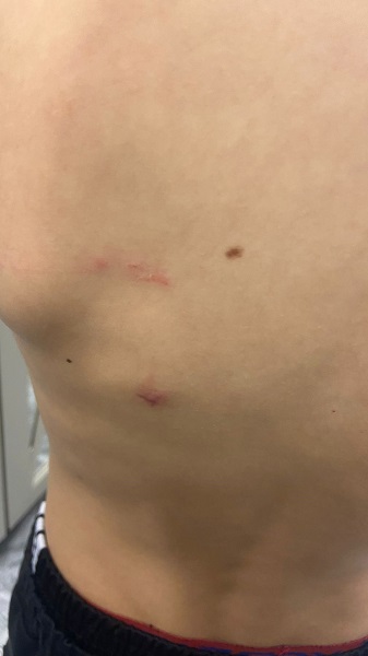 Foto - Bu işin sonu nereye varacak? Şimdi de okulda başıboş köpek dehşeti