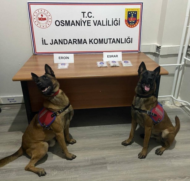 Foto - Bu kadar alçaklık olmaz! Ekmeğin içinden bakın ne çıktı