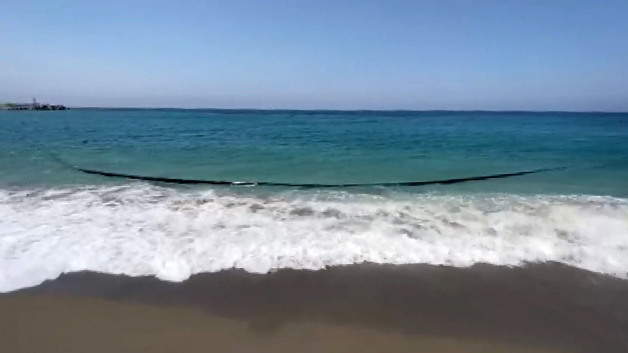 Foto - Bu kadar da olmaz! Denizden çıkan hayrete düşürdü