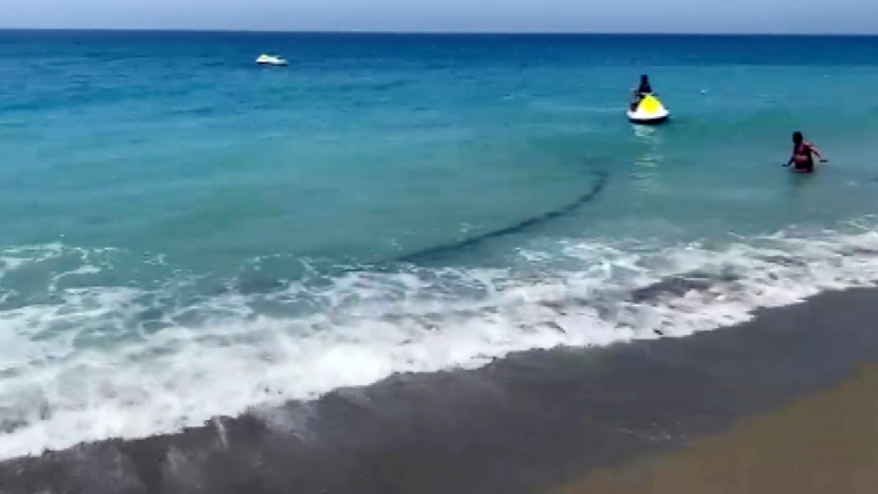 Foto - Bu kadar da olmaz! Denizden çıkan hayrete düşürdü