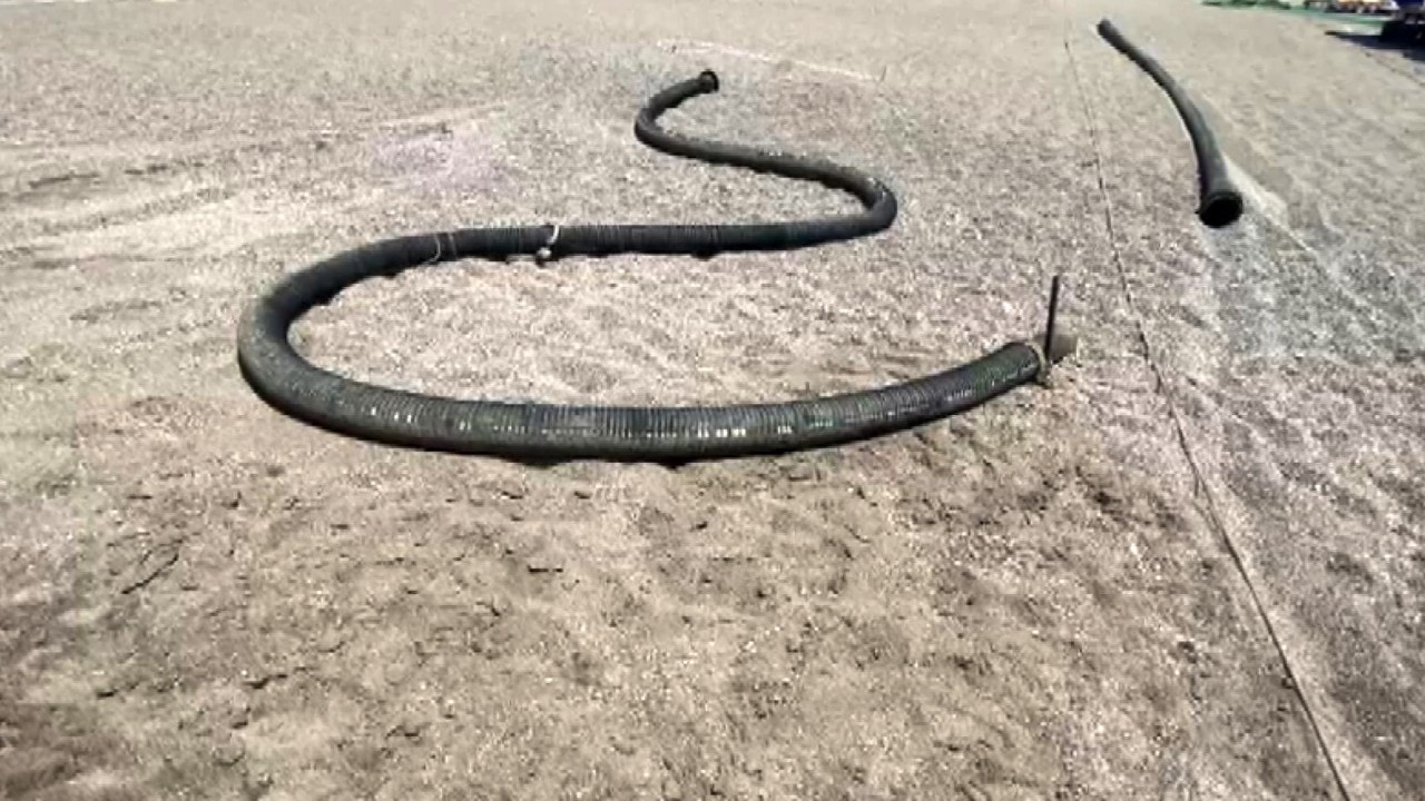 Bu kadar da olmaz! Denizden çıkan hayrete düşürdü