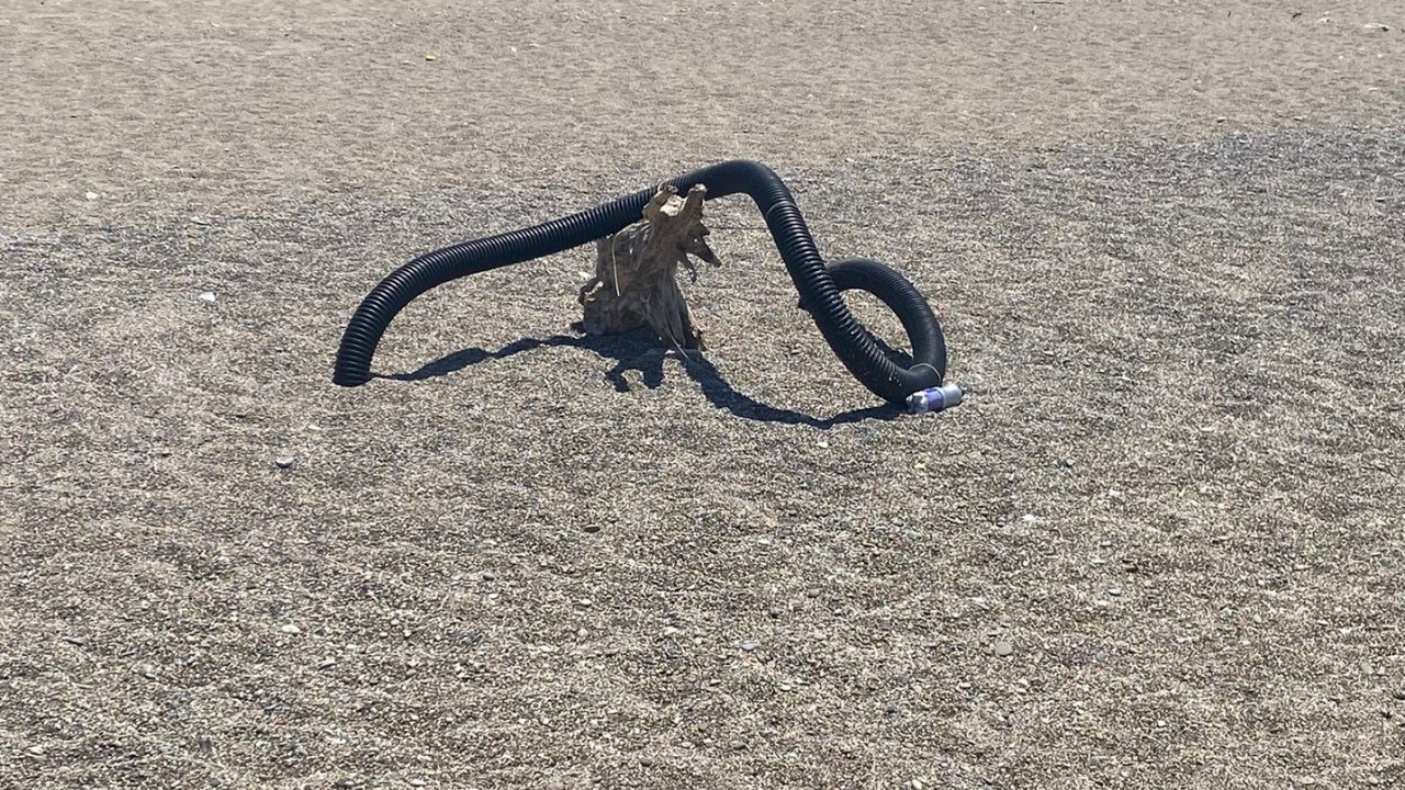 Foto - Bu kadar da olmaz! Denizden çıkan hayrete düşürdü