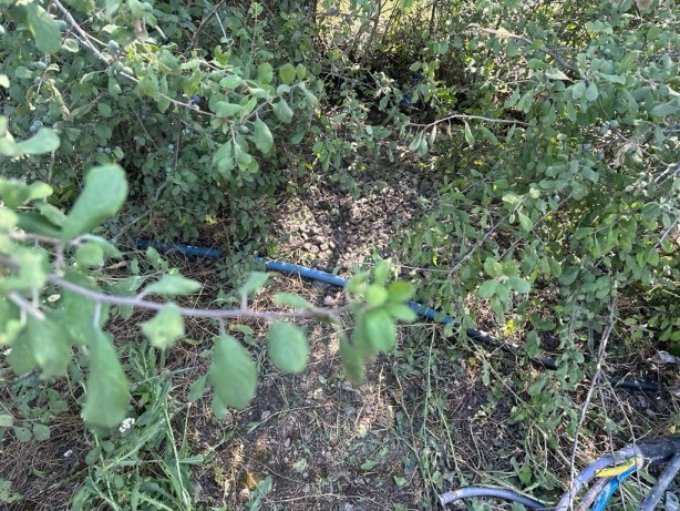 Foto - Bu kadarı ancak şeytanın aklına gelir! Yer altındayken bile rahat yok