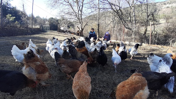 Foto - Bu kadarını kendileri bile beklemiyorlardı! Hobi olarak başladı ama sonuç müthiş
