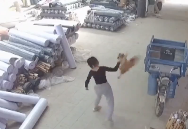 Foto - Bu kadın kafayı yemiş olmalı! Şu manyaklığa bakın hele şu manyaklığa