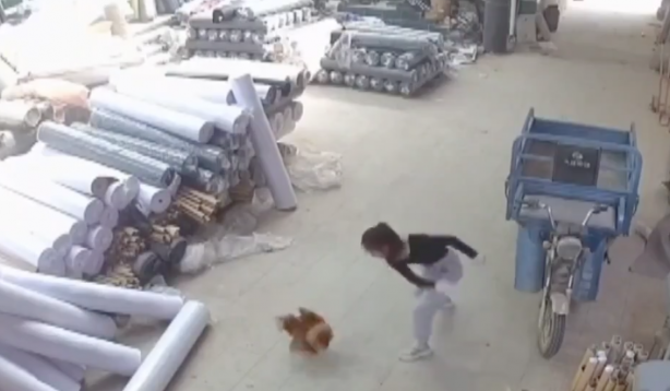 Foto - Bu kadın kafayı yemiş olmalı! Şu manyaklığa bakın hele şu manyaklığa