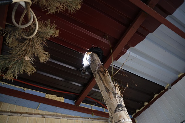 Foto - Bu kafe herkesi şaşırtıyor! 