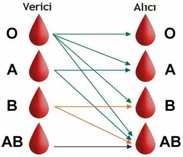 Foto - Bu kan grubu çok şanslı: En uzun onların yaşadığı açıklandı