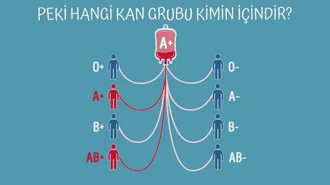 Foto - Bu kan grubu çok şanslı: En uzun onların yaşadığı açıklandı