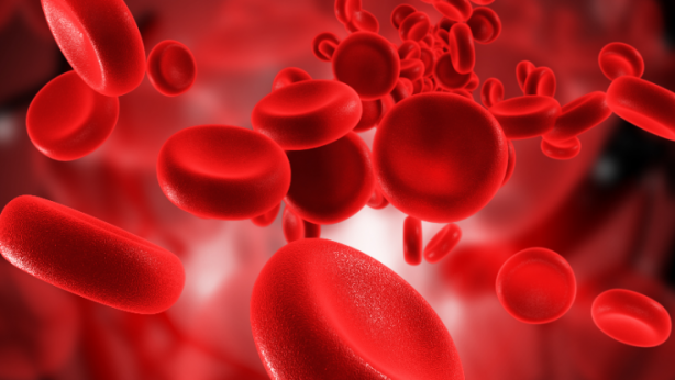 Foto - Bu kan grubundan olanlar adeta çakı gibi! Hastalık onların yanına bile uğramıyor! Bilimsel araştırmayla kanıtlandı