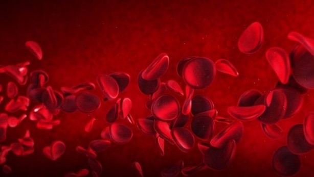 Foto - Bu kan grubundaysanız, kalp krizi riskiniz yüksek