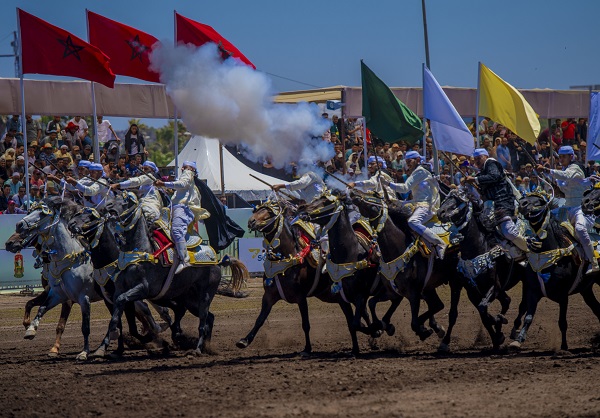 Foto - Bu kare savaş alanından değil! 