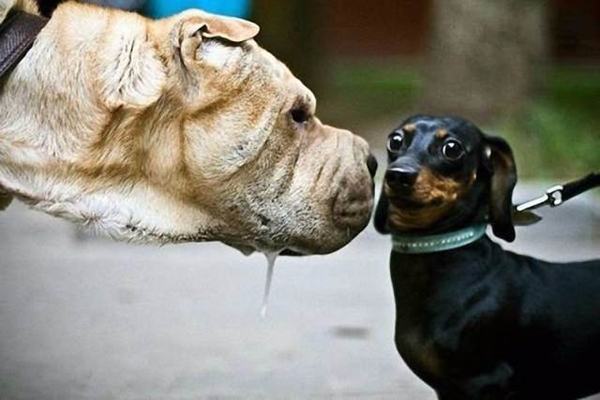 Foto - Bu kareler çekildikten 1 saniye sonra...