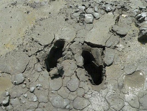 Foto - Bu kareler çekildikten 1 saniye sonra...