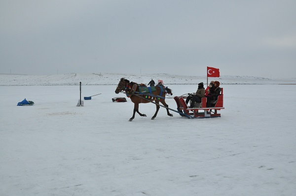 Foto - Bu kareler çok konuşulur! Çıldır Gölü'nden ilginç görüntüler
