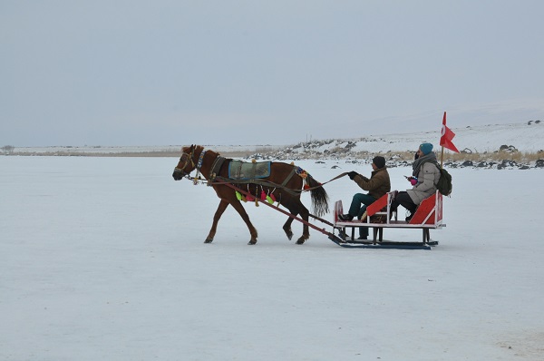 Foto - Bu kareler çok konuşulur! Çıldır Gölü'nden ilginç görüntüler