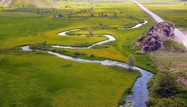 Foto - Bu kareler hayran bırakıyor