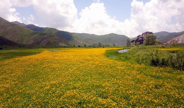 Foto - Bu kareler hayran bırakıyor