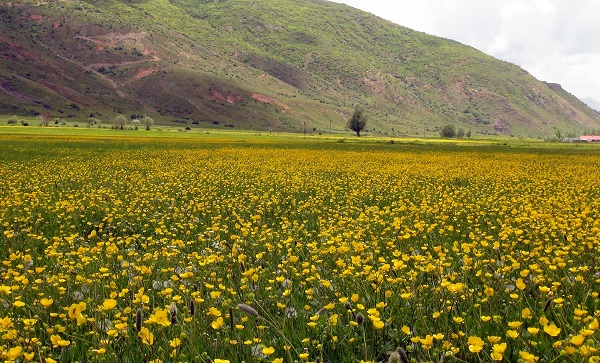 Foto - Bu kareler hayran bırakıyor