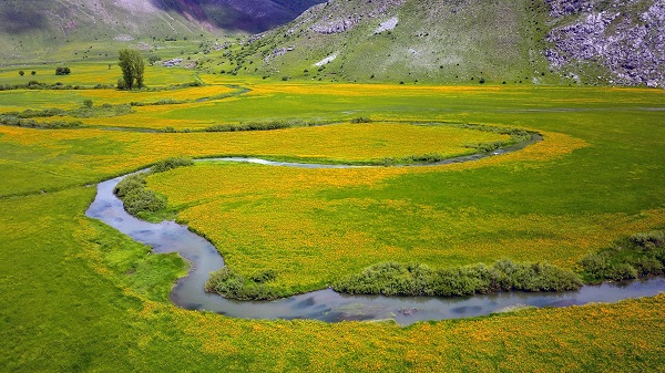 Foto - Bu kareler hayran bırakıyor