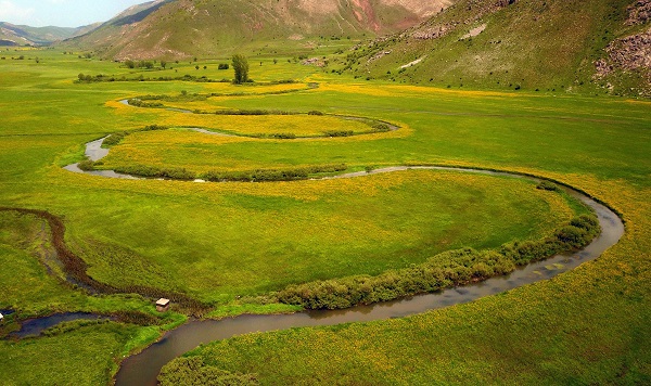 Foto - Bu kareler hayran bırakıyor