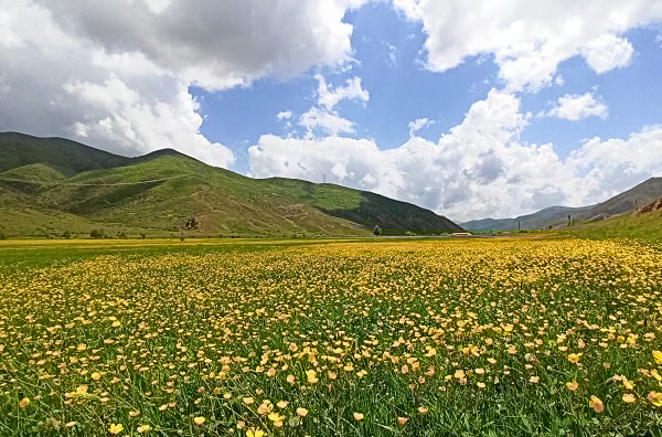 Bu kareler hayran bırakıyor