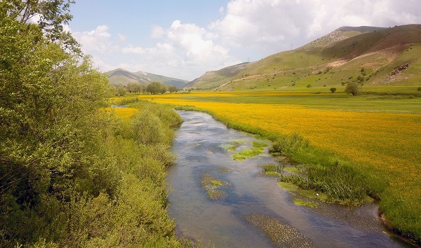 Foto - Bu kareler hayran bırakıyor