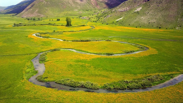 Foto - Bu kareler hayran bırakıyor