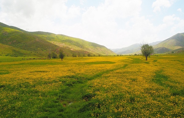 Foto - Bu kareler hayran bırakıyor