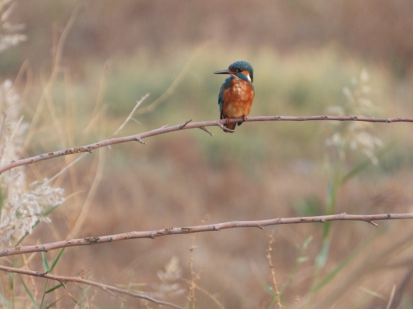 Foto - Bu kareler kartpostalları aratmıyor