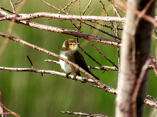 Foto - Bu kareler kartpostalları aratmıyor