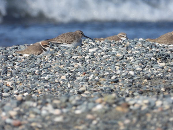 Bu kareler kartpostalları aratmıyor