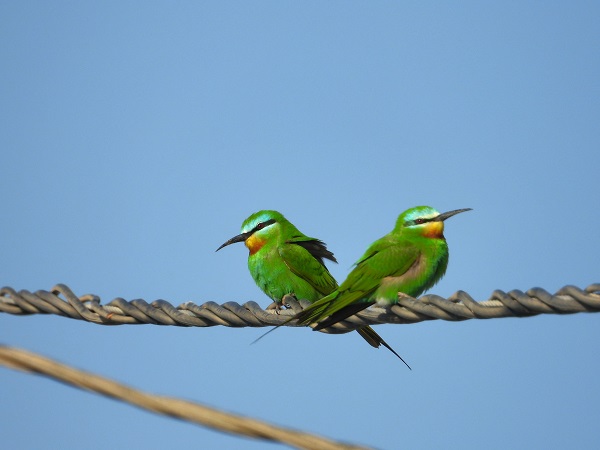 Foto - Bu kareler kartpostalları aratmıyor